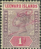 1 p lilac and red